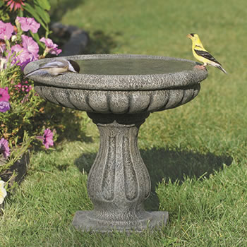 Home, Bird Bath